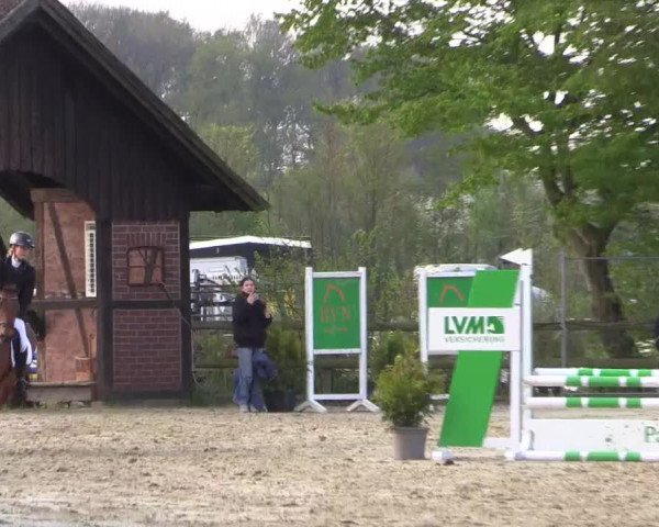 Reitturnier Nienberge 2022