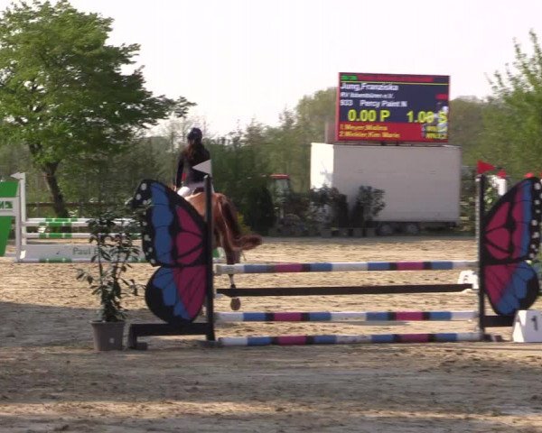 Reitturnier Nienberge 2022