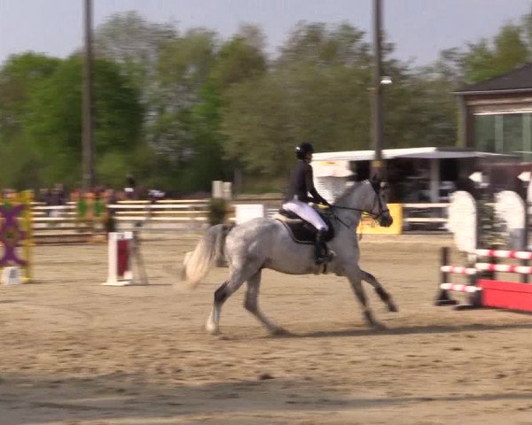 Reitturnier Nienberge 2022