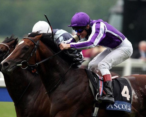 horse Macarthur xx (Thoroughbred, 2004, from Montjeu xx)