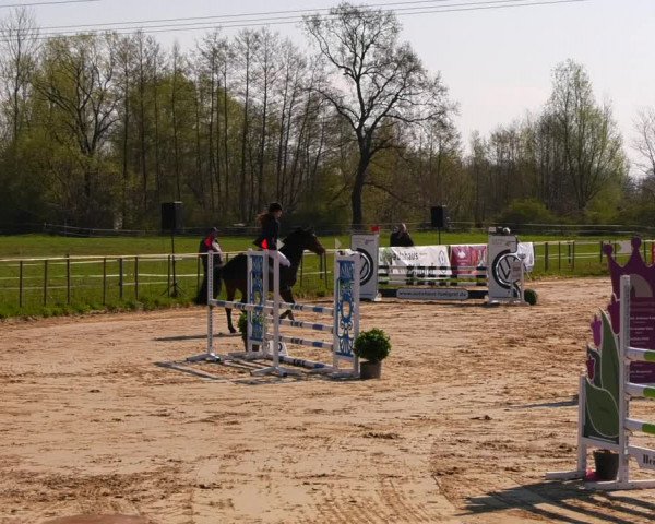 Reitturnier Wutzetz 2022