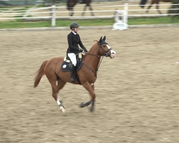 Reitturnier Ried am Riederberg 2022