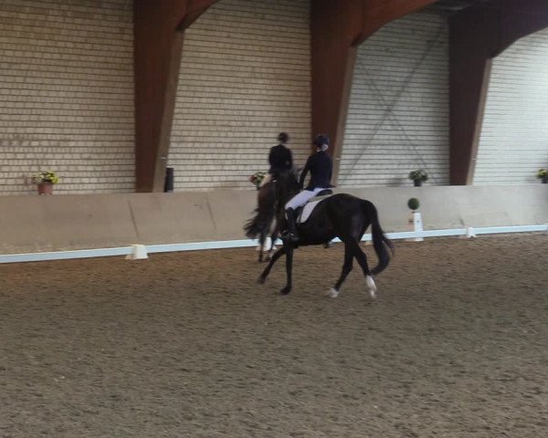 Reitturnier Kamen 2022
