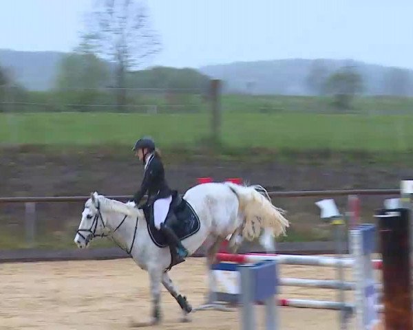 Reitturnier Altentrüdingen/Mfr. 2022