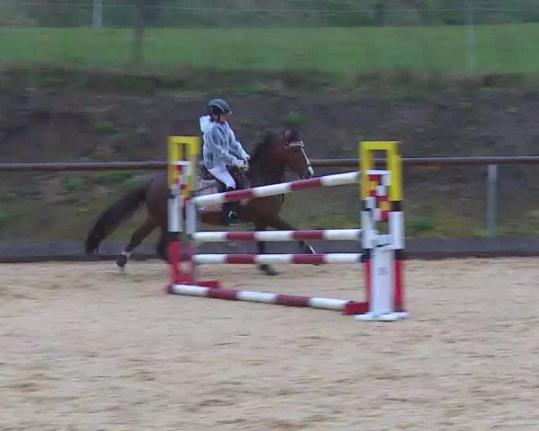 Reitturnier Altentrüdingen/Mfr. 2022