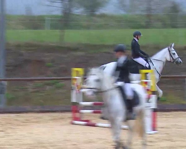 Reitturnier Altentrüdingen/Mfr. 2022