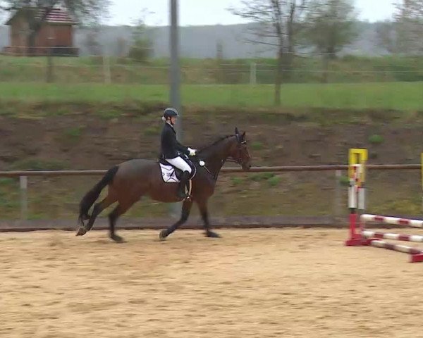 Reitturnier Altentrüdingen/Mfr. 2022