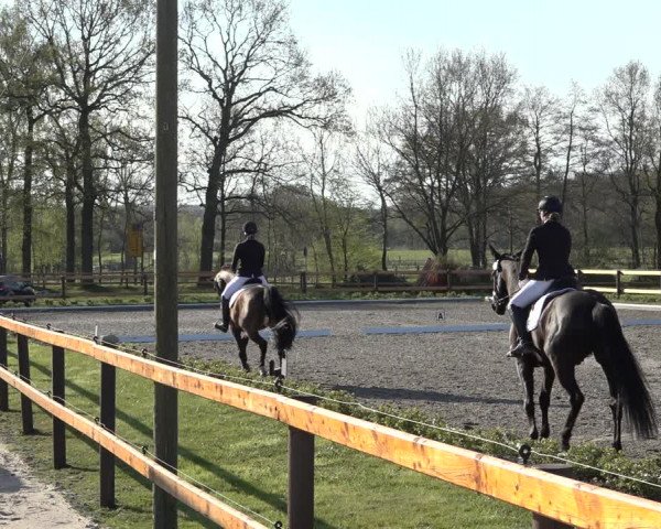 Reitturnier Schwanewede 2022