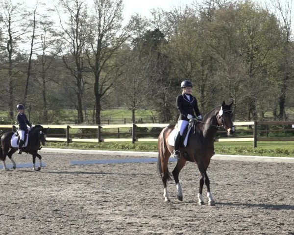Reitturnier Schwanewede 2022