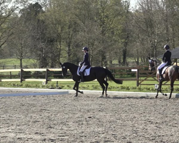 Reitturnier Schwanewede 2022