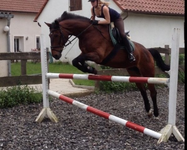 jumper Power Play (Bavarian, 1991, from Poseidon)