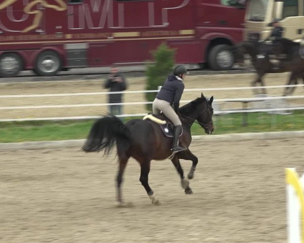 Reitturnier Ried am Riederberg 2022