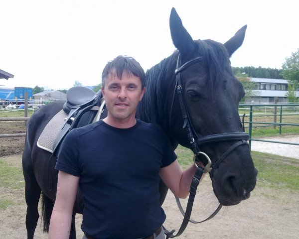 dressage horse Tralom (Mecklenburg, 1996, from Trafaret)