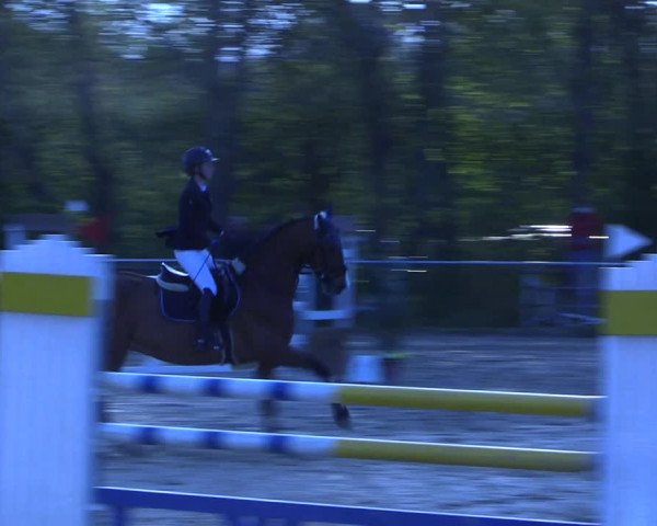 Reitturnier Kamen 2022