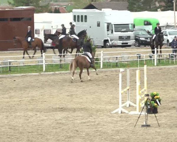 Reitturnier Ried am Riederberg 2022