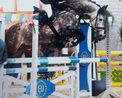 dressage horse Cera Caletta (Oldenburg show jumper, 2007, from Cero)