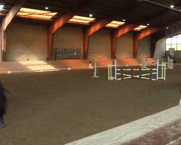 Reitturnier Kamen 2022