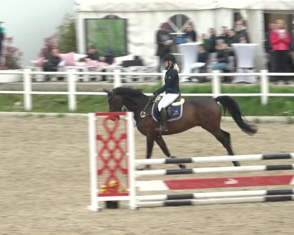 Reitturnier Ried am Riederberg 2022