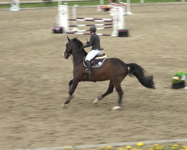 Reitturnier Ried am Riederberg 2022