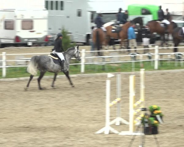 Reitturnier Ried am Riederberg 2022