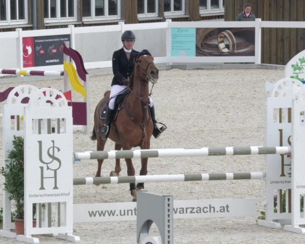 Springturnier Memmingen 2022