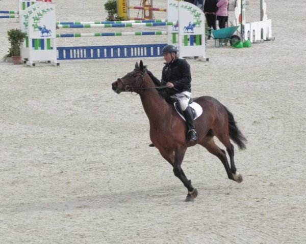 Springturnier Memmingen 2022