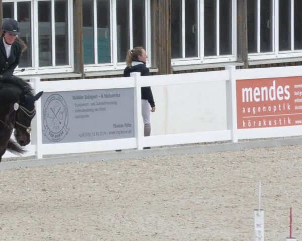 Springturnier Memmingen 2022