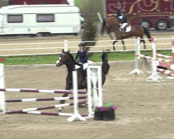 Reitturnier Ried am Riederberg 2022