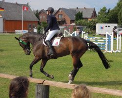 jumper Cas de Bonheur (Danish Warmblood, 2003, from Equest Carnute)