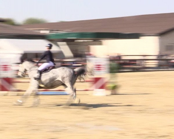 Reitturnier Kamen 2022