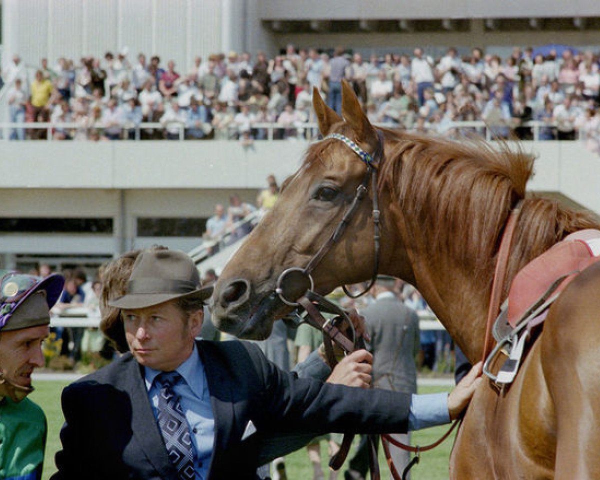 Deckhengst Gunner B xx (Englisches Vollblut, 1973, von Royal Gunner xx)