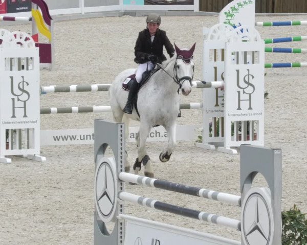 Springturnier Memmingen 2022