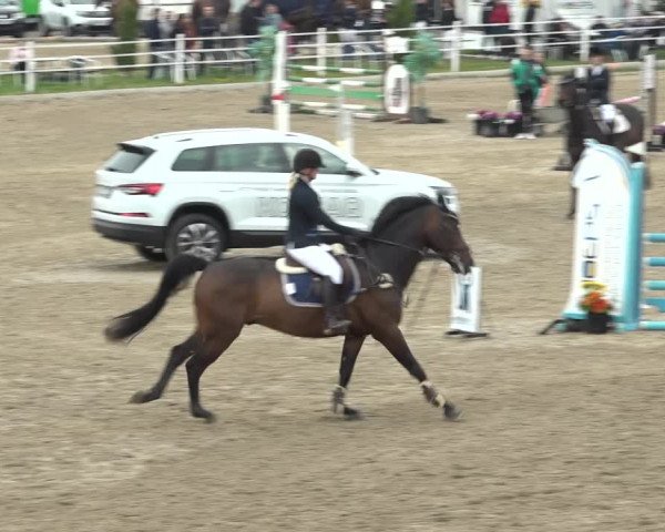 Reitturnier Ried am Riederberg 2022