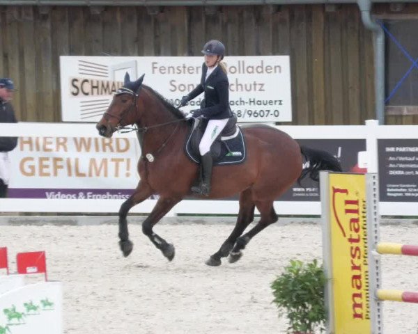 Springturnier Memmingen 2022