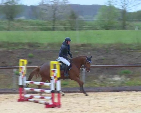 Reitturnier Altentrüdingen/Mfr. 2022
