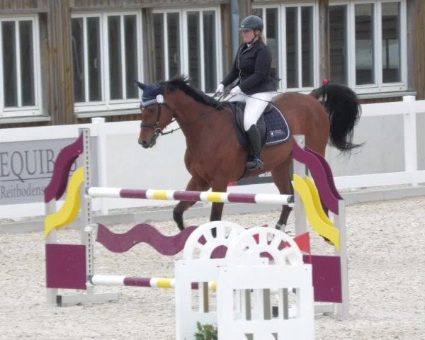 Springturnier Memmingen 2022
