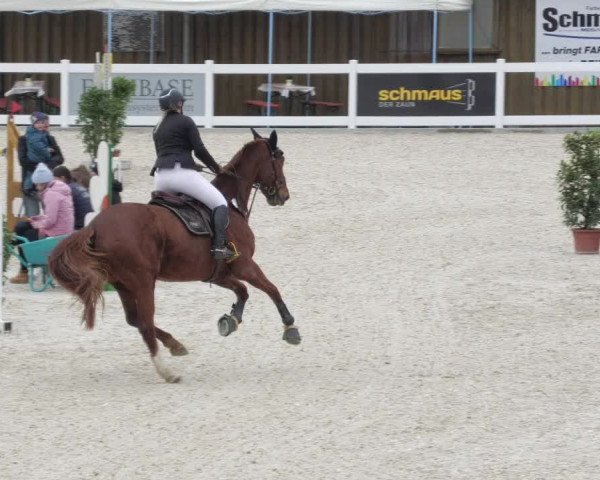 Springturnier Memmingen 2022