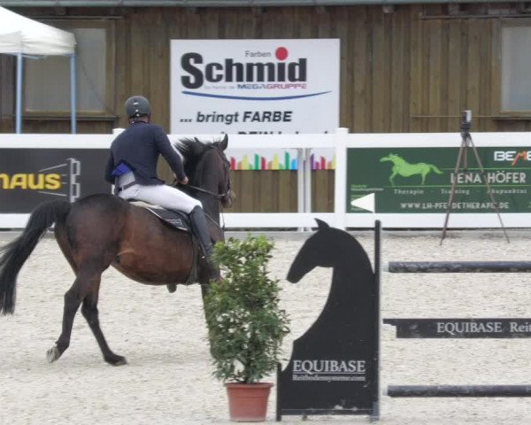 Springturnier Memmingen 2022