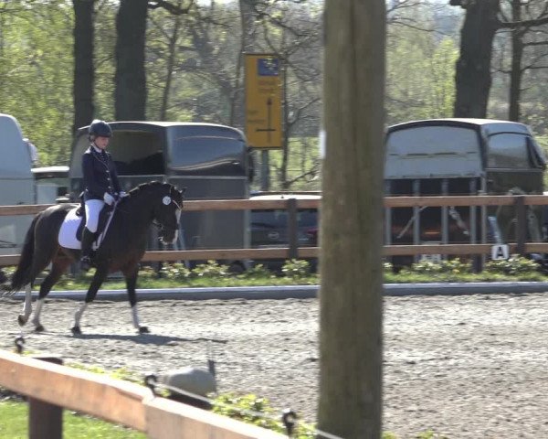 Reitturnier Schwanewede 2022