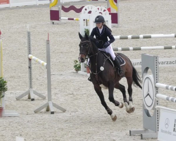 Springturnier Memmingen 2022