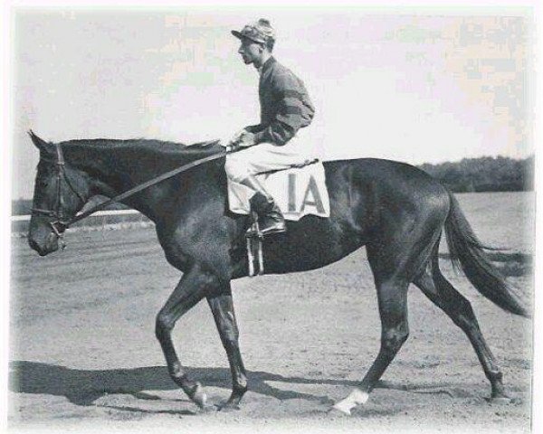 broodmare Twilight Tear xx (Thoroughbred, 1941, from Bull Lea xx)