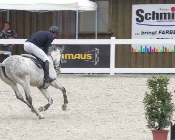 Springturnier Memmingen 2022