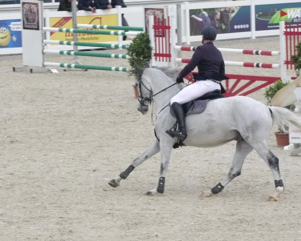 Springturnier Memmingen 2022