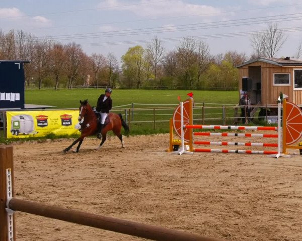 Reitturnier Wutzetz 2022