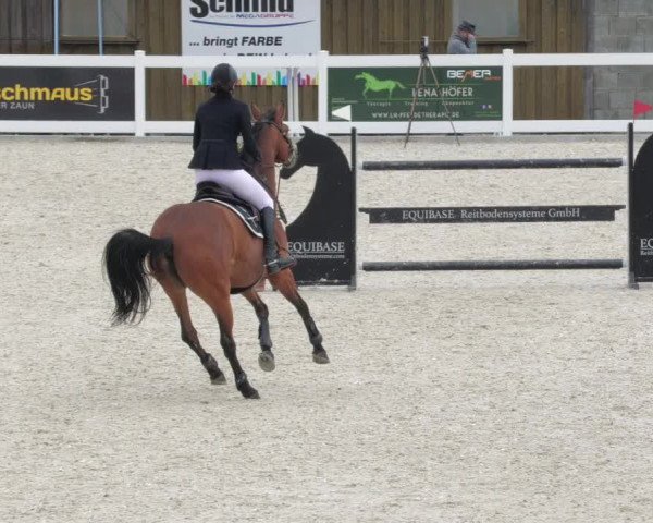 Springturnier Memmingen 2022