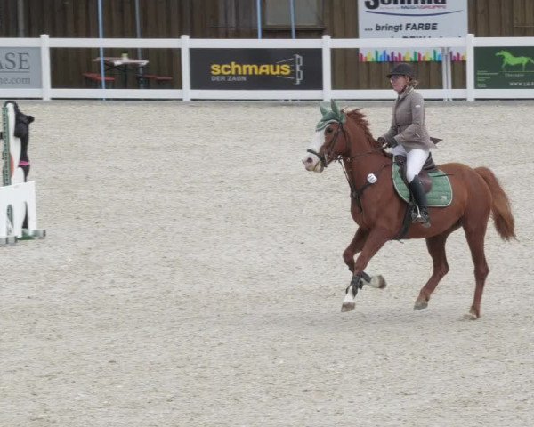 Springturnier Memmingen 2022
