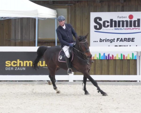 Springturnier Memmingen 2022