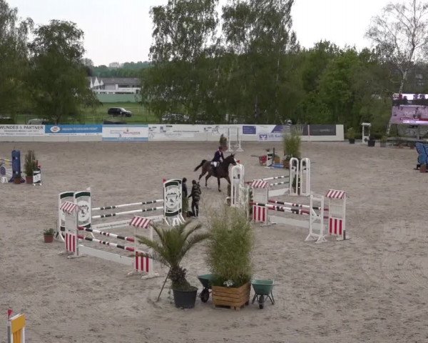 Reitturnier Monheim - Gut Blee 2022