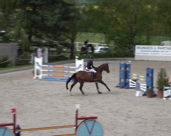 Reitturnier Monheim - Gut Blee 2022