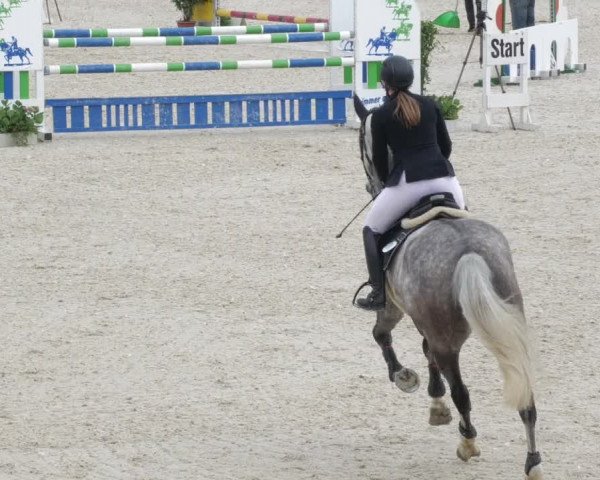 Springturnier Memmingen 2022